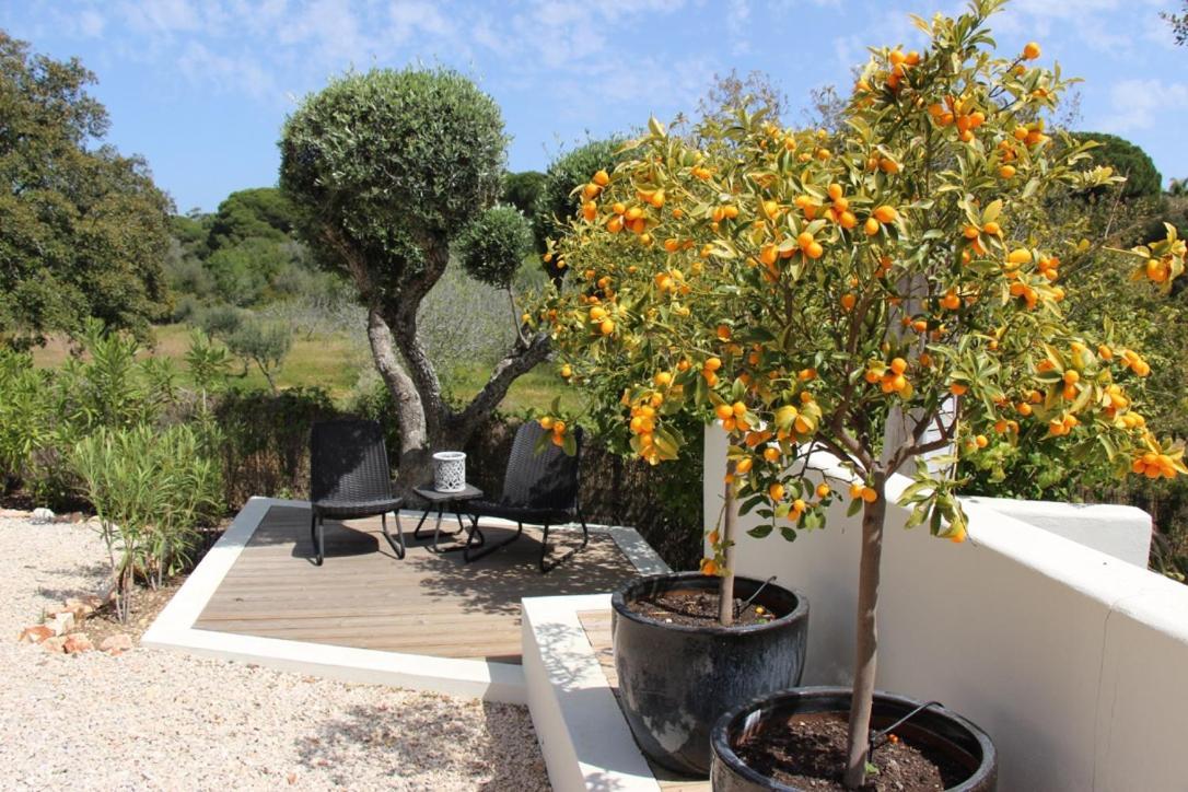 Casa Sereno بيناغيل المظهر الخارجي الصورة