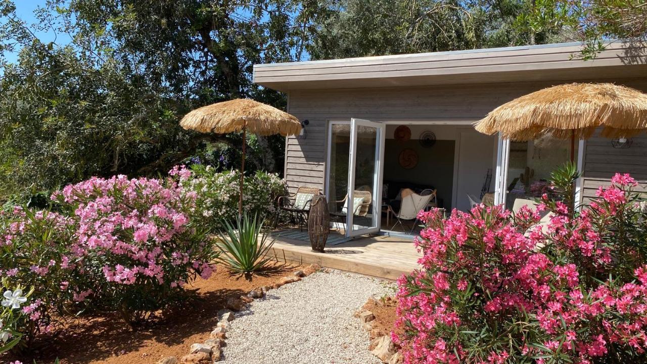 Casa Sereno بيناغيل المظهر الخارجي الصورة