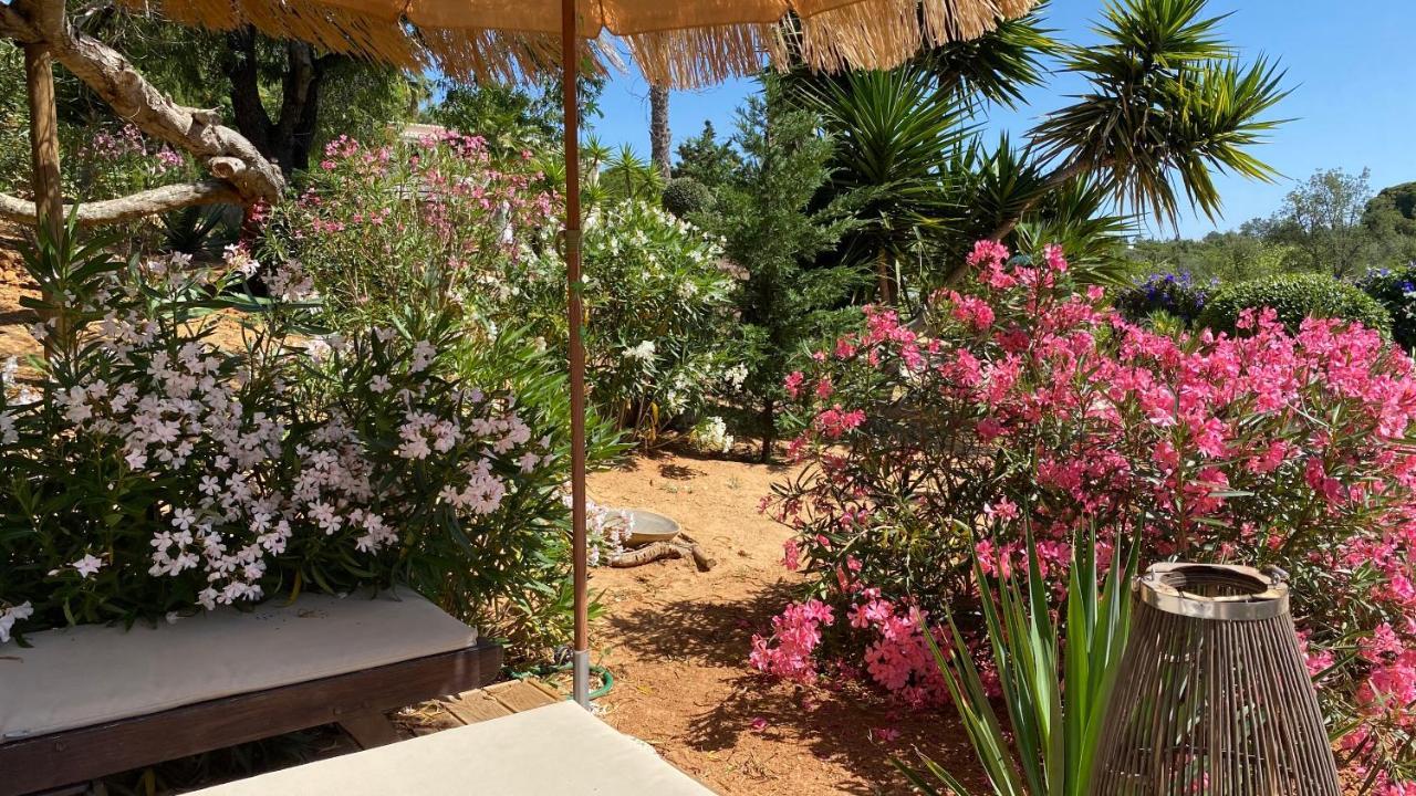Casa Sereno بيناغيل المظهر الخارجي الصورة
