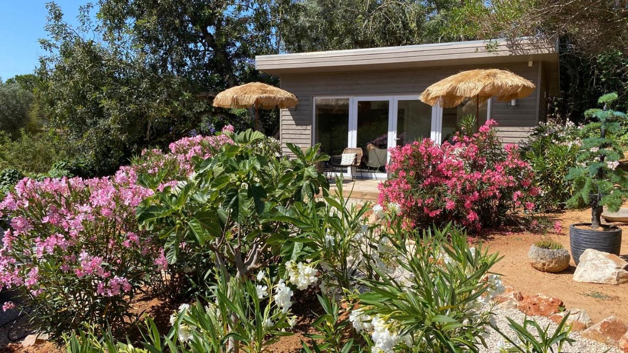 Casa Sereno بيناغيل المظهر الخارجي الصورة
