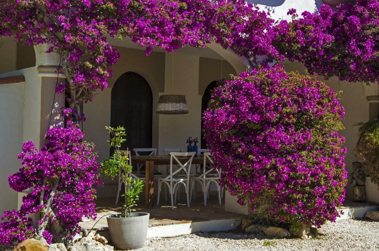 Casa Sereno بيناغيل المظهر الخارجي الصورة