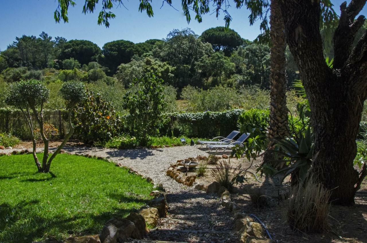 Casa Sereno بيناغيل المظهر الخارجي الصورة